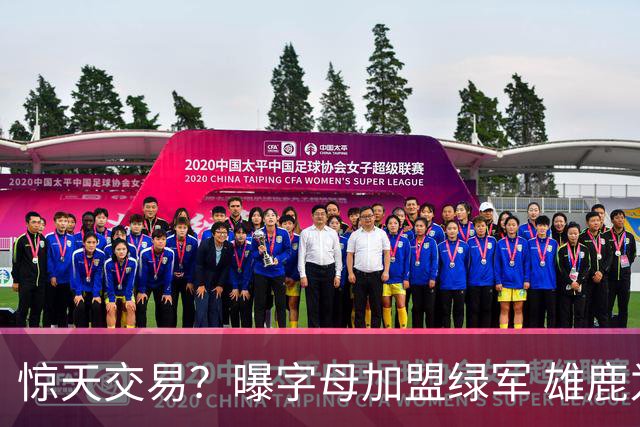 惊天交易？曝字母加盟绿军 雄鹿为布朗寻找第三方