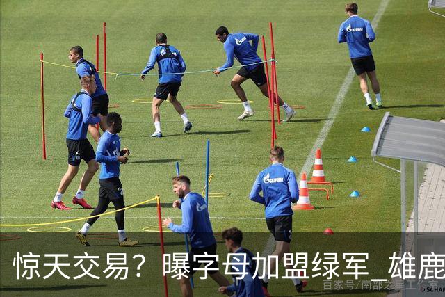 惊天交易？曝字母加盟绿军 雄鹿为布朗寻找第三方